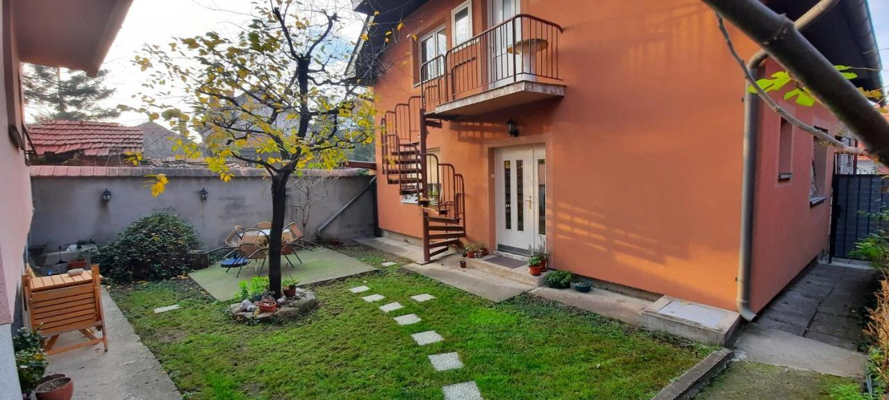Apartman Carpe Diem 2 Zajecar Luaran gambar